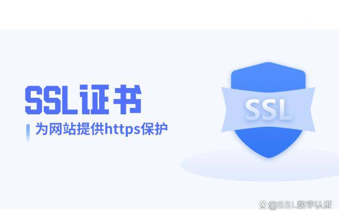 2024新奥开奖记录清明上河图_什么是SSL证书？网站为什么需要用SSL证书？