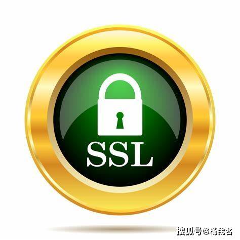 新澳门六开彩资料大全网址_中拓互联|化工行业都在用什么SSL证书？SSL证书的好处有哪些？