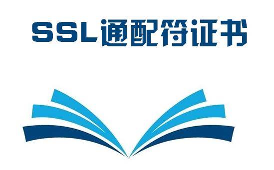 澳门王中王100%的资料2024_通配符SSL证书详细解释  第5张