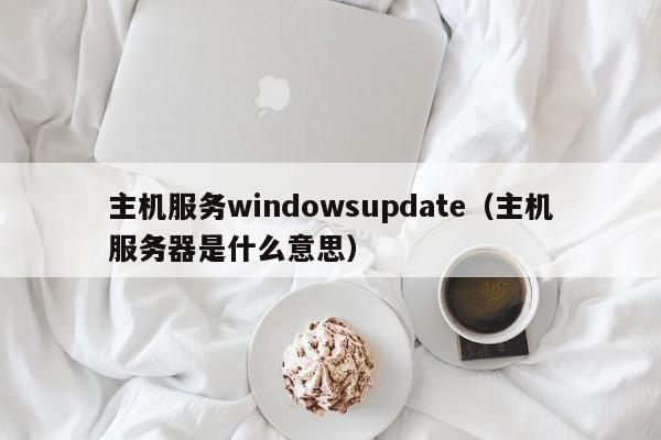 主机服务windowsupdate（主机服务器是什么意思）