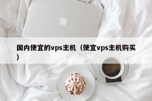 国内便宜的vps主机（便宜vps主机购买）