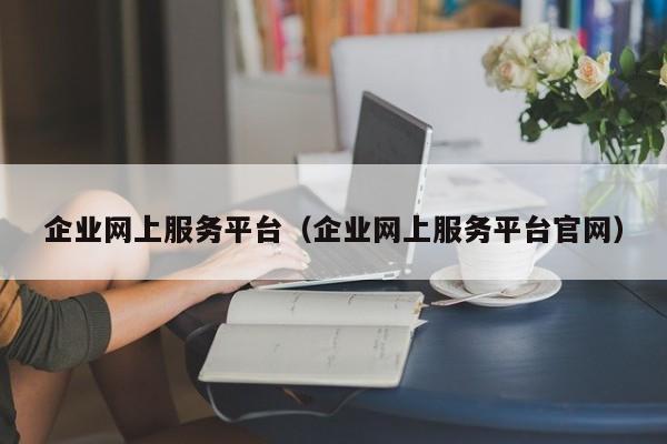 企业网上服务平台（企业网上服务平台官网）  第1张