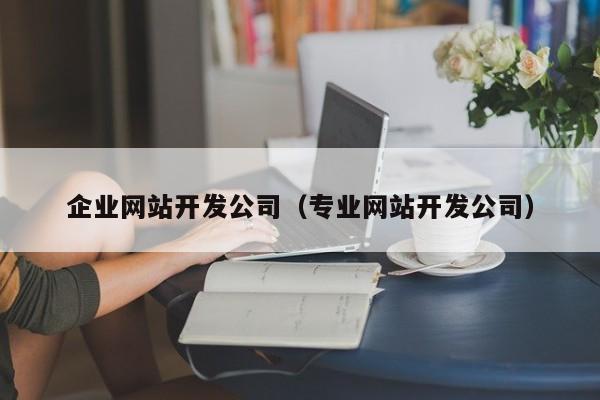 企业网站开发公司（专业网站开发公司）