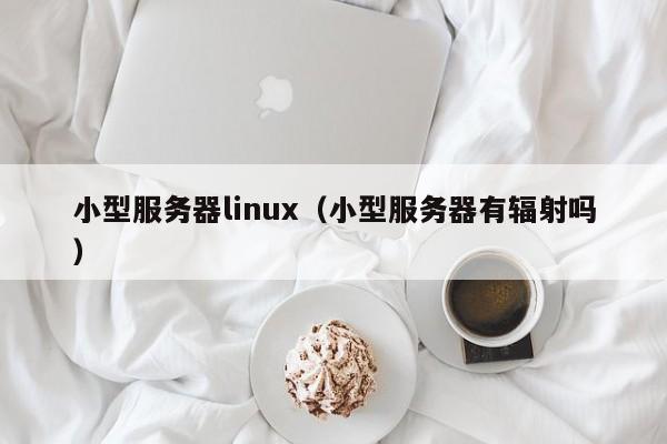 小型服务器linux（小型服务器有辐射吗）  第1张