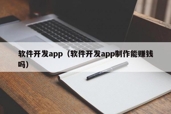 软件开发app（软件开发app制作能赚钱吗）