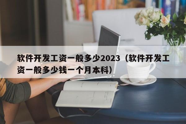 软件开发工资一般多少2023（软件开发工资一般多少钱一个月本科）  第1张