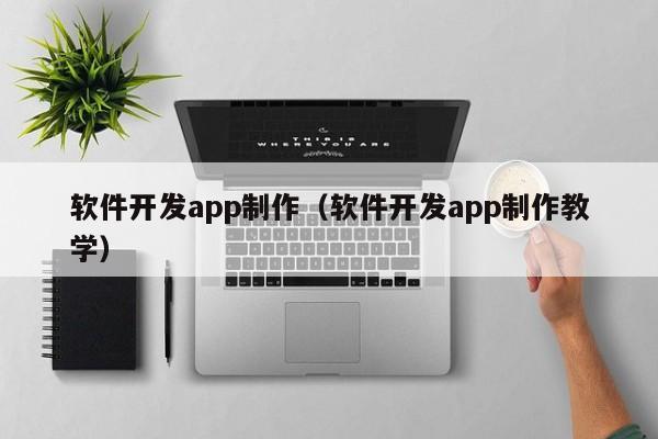 软件开发app制作（软件开发app制作教学）