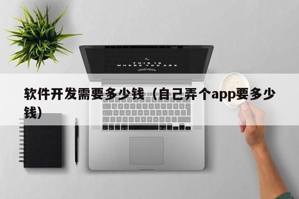 软件开发需要多少钱（自己弄个app要多少钱）  第1张