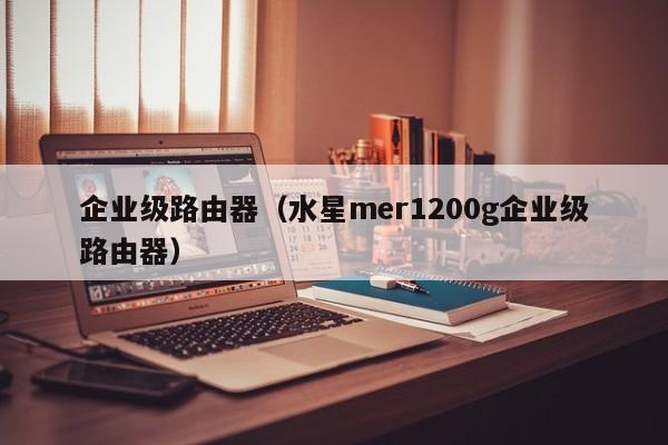 企业级路由器（水星mer1200g企业级路由器）  第1张