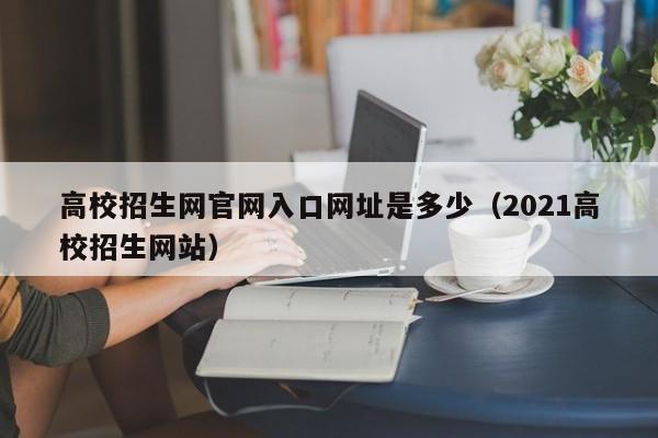 高校招生网官网入口网址是多少（2021高校招生网站）  第1张