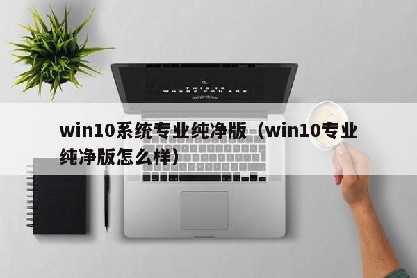 win10系统专业纯净版（win10专业纯净版怎么样）  第1张