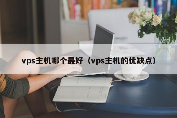 vps主机哪个最好（vps主机的优缺点）  第1张