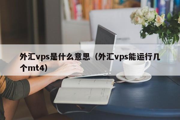 外汇vps是什么意思（外汇vps能运行几个mt4）