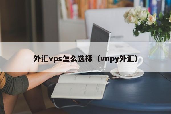 外汇vps怎么选择（vnpy外汇）  第1张