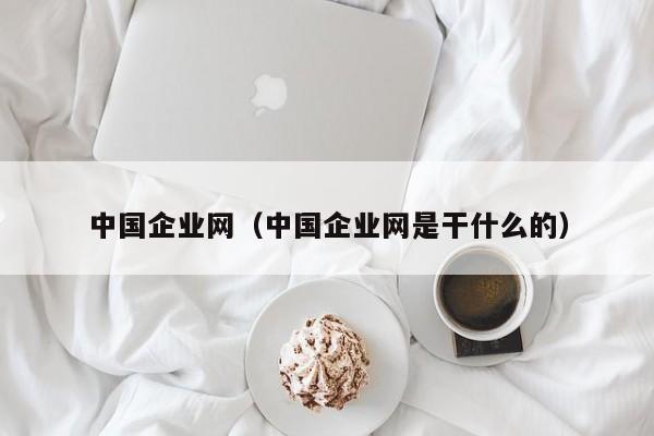 中国企业网（中国企业网是干什么的）