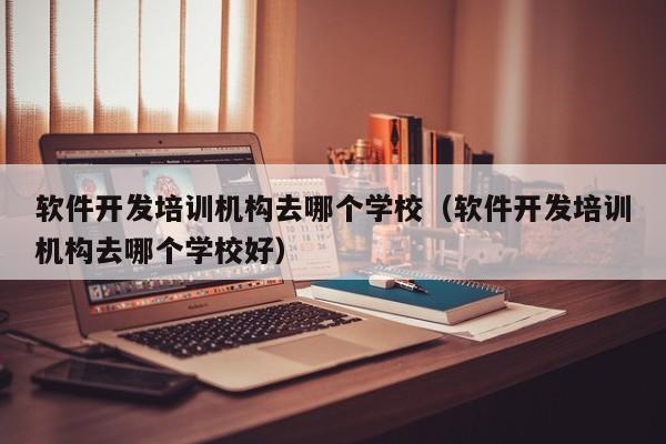 软件开发培训机构去哪个学校（软件开发培训机构去哪个学校好）