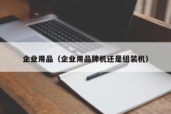 企业用品（企业用品牌机还是组装机）