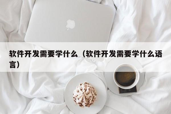 软件开发需要学什么（软件开发需要学什么语言）  第1张