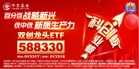 热点“光速”轮动？双创龙头ETF(588330)百分百布局战略新兴产业！政策重磅出台,光伏、新能源汽车多板块获益  第4张