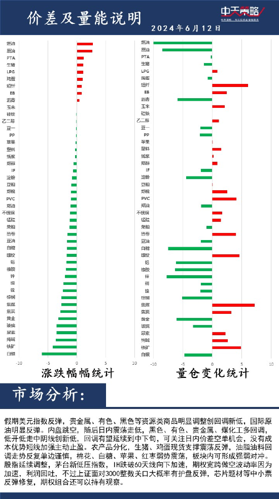 中天策略:6月12日市场分析