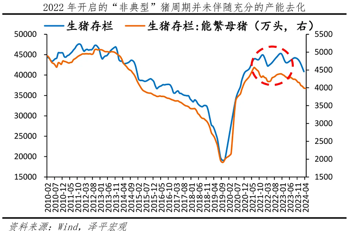 新一轮猪周期来了吗？  第8张