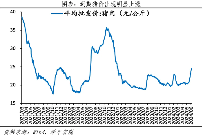 新一轮猪周期来了吗？  第9张