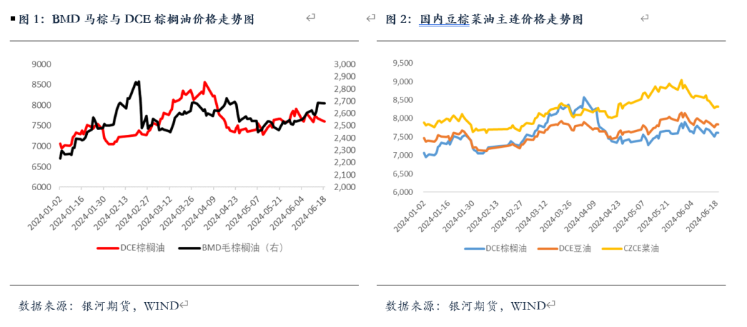 【油脂半年报】矛盾暂无的油脂，未来何去何从？  第2张