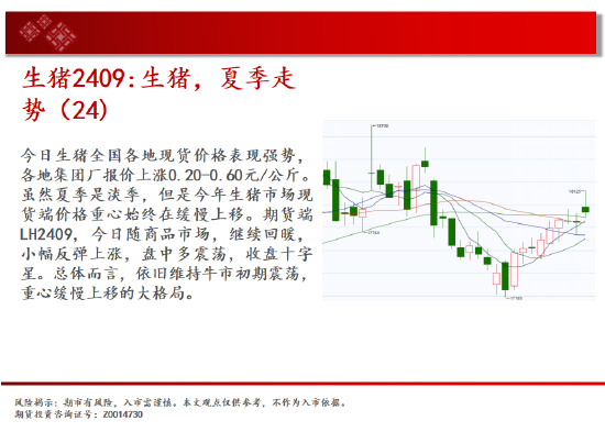 中天期货:玻璃继续下跌 纸浆继续下跌  第8张