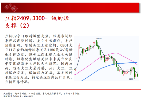 中天期货:玻璃继续下跌 纸浆继续下跌  第12张