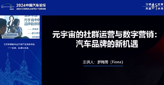 元宇宙专家罗梅芳：中国汽车品牌的现状就一句话，小荷才露尖尖角  第1张