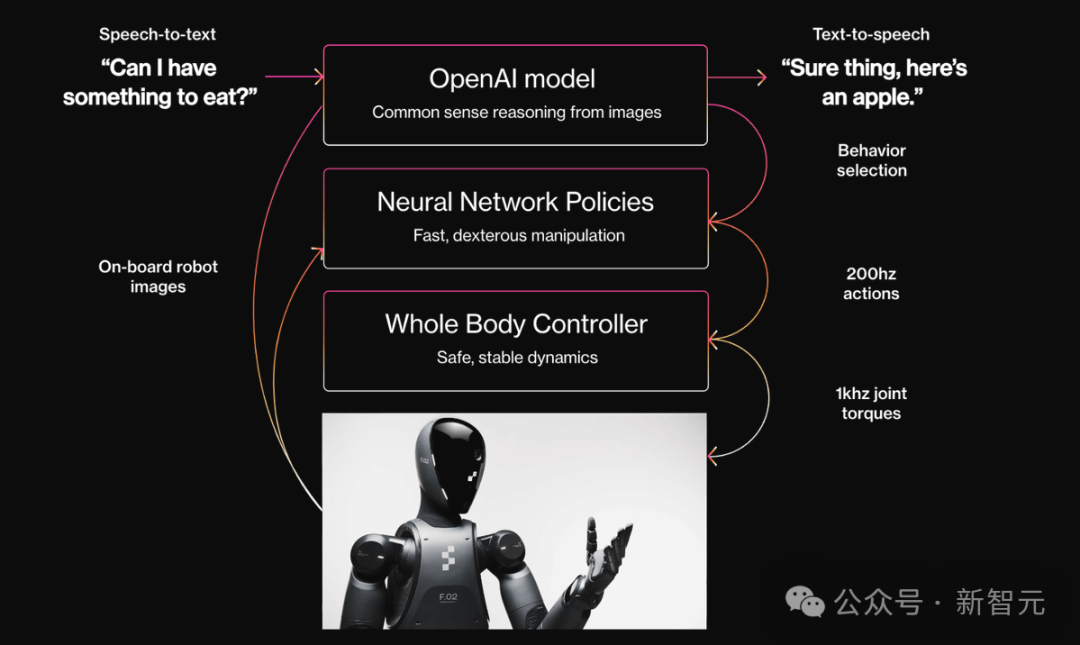 OpenAI 版终结者降临！地表最强机器人 Figure 02 问世，进宝马狂飙 20 小时  第6张