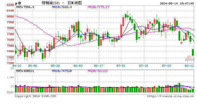 2024年8月14日油脂行情资讯  第2张