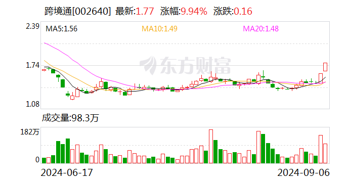 昔日跨境电商一哥 为何还不起800万元？